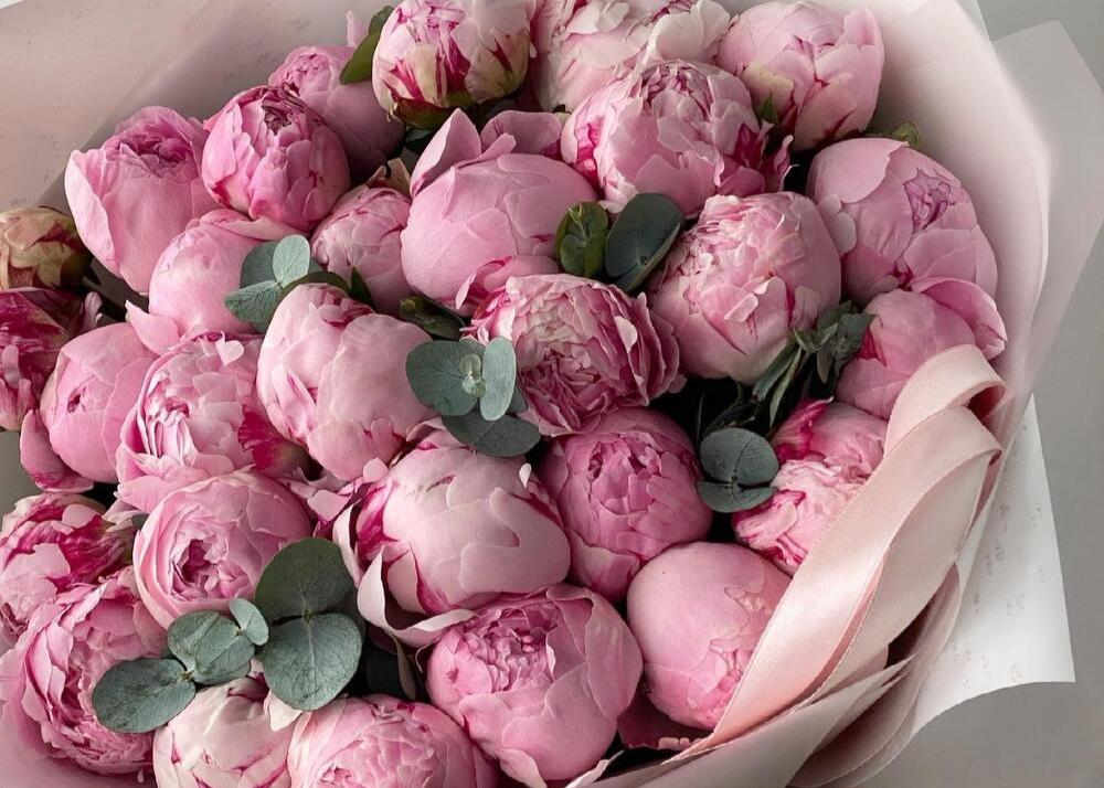 Peony Marshmallow. 30 exquisite peonies.