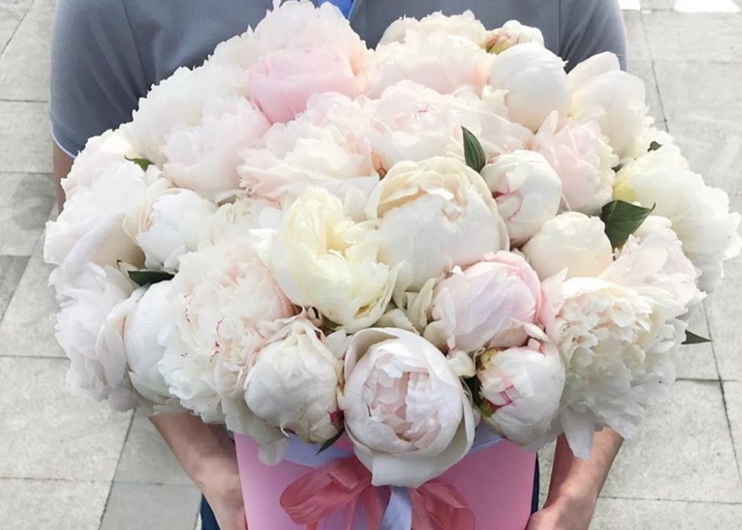 Dreamy Peonies in Paper Box. 50 exquisite peonies.