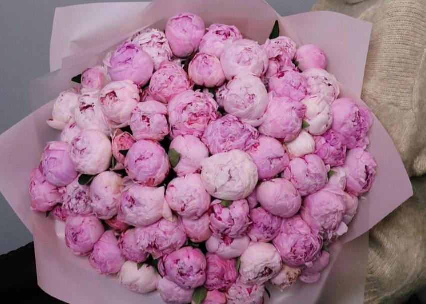 Peony Marshmallow. 50 exquisite peonies.