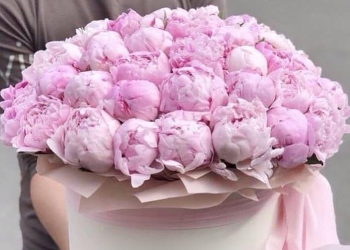 Dreamy Peonies in Paper Box. 50 exquisite peonies.