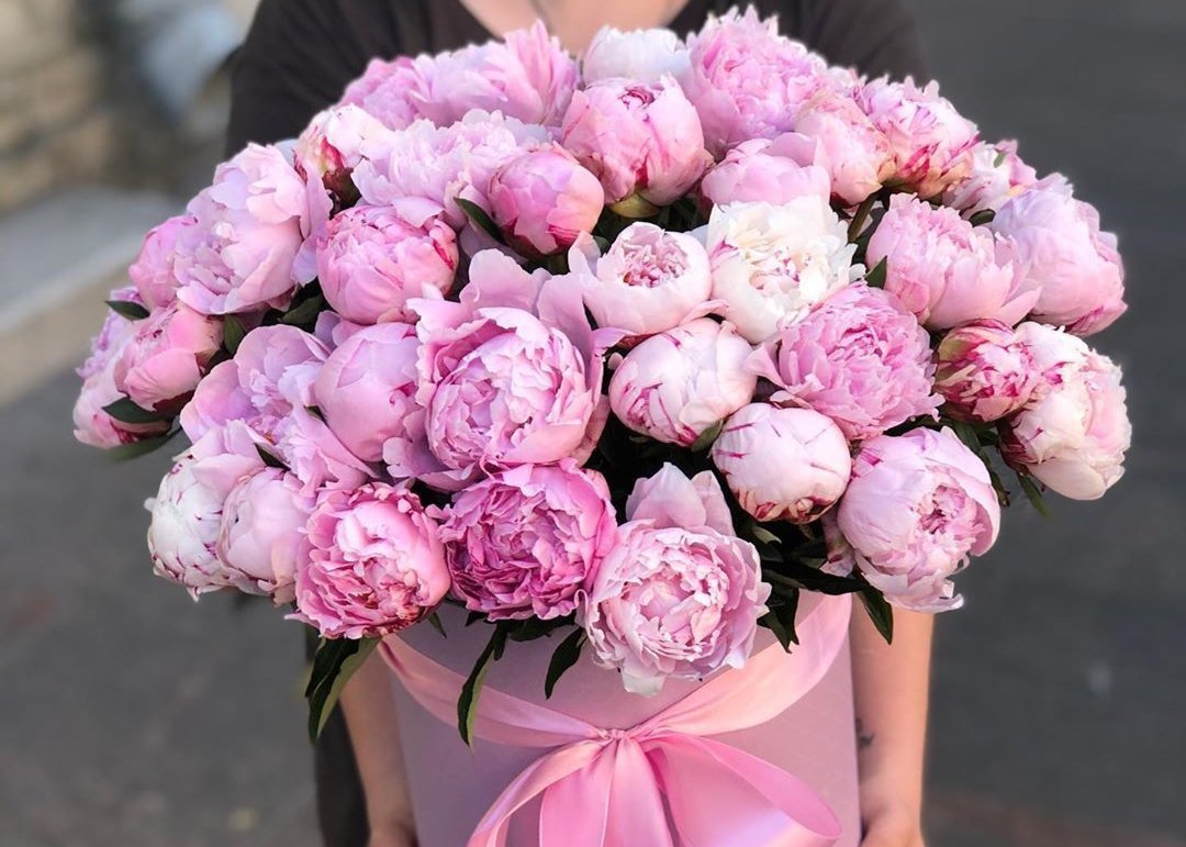 Dreamy Peonies in Paper Box. 50 exquisite peonies.