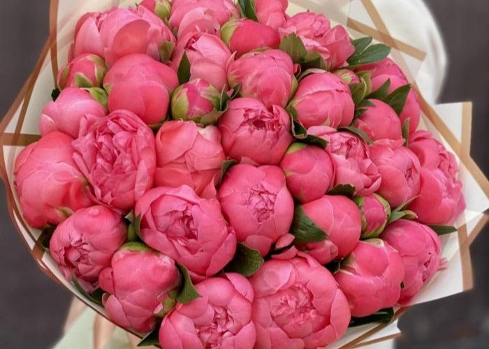 Peony Marshmallow. 30 exquisite peonies.