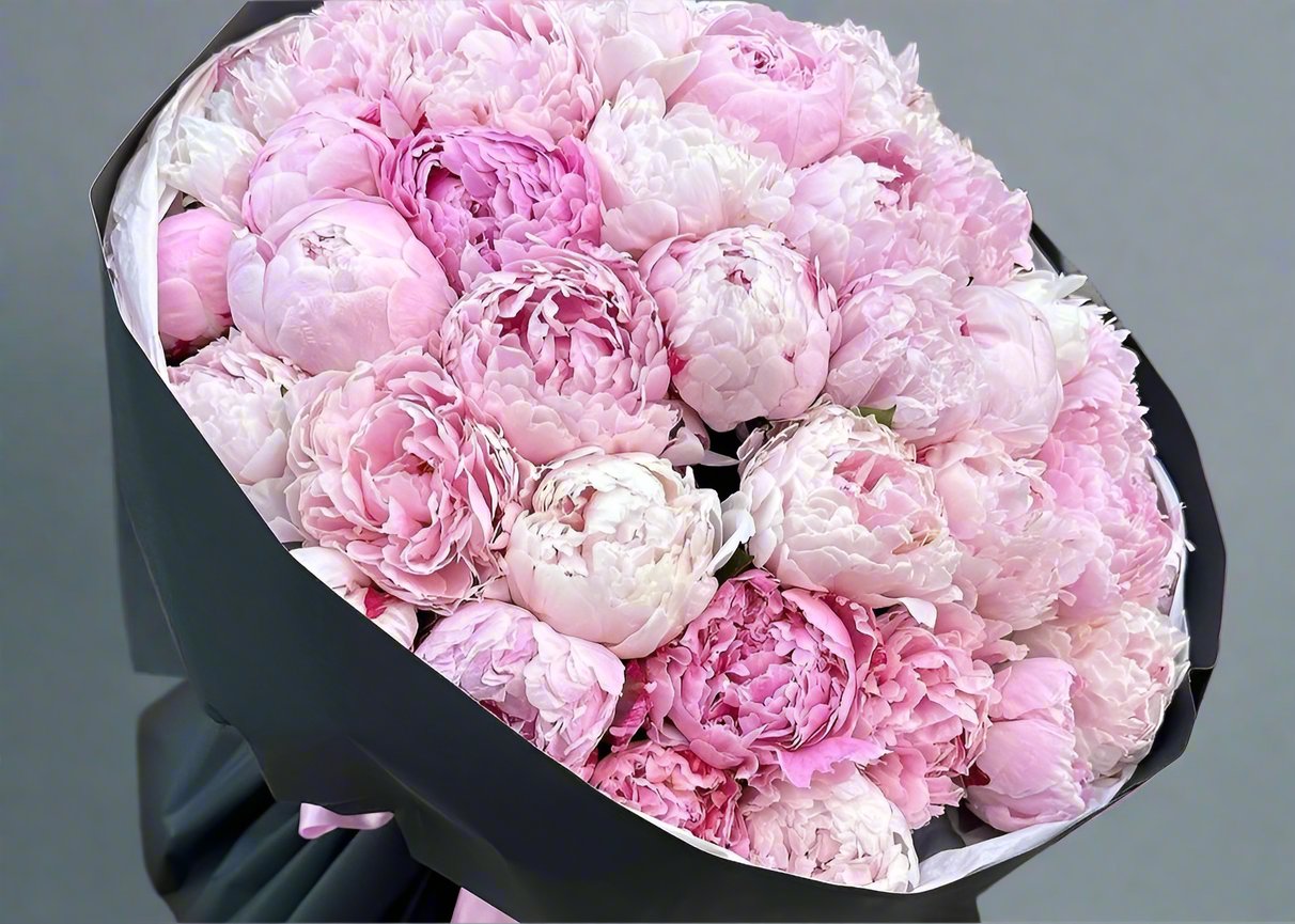 Peony Marshmallow. 50 exquisite peonies.