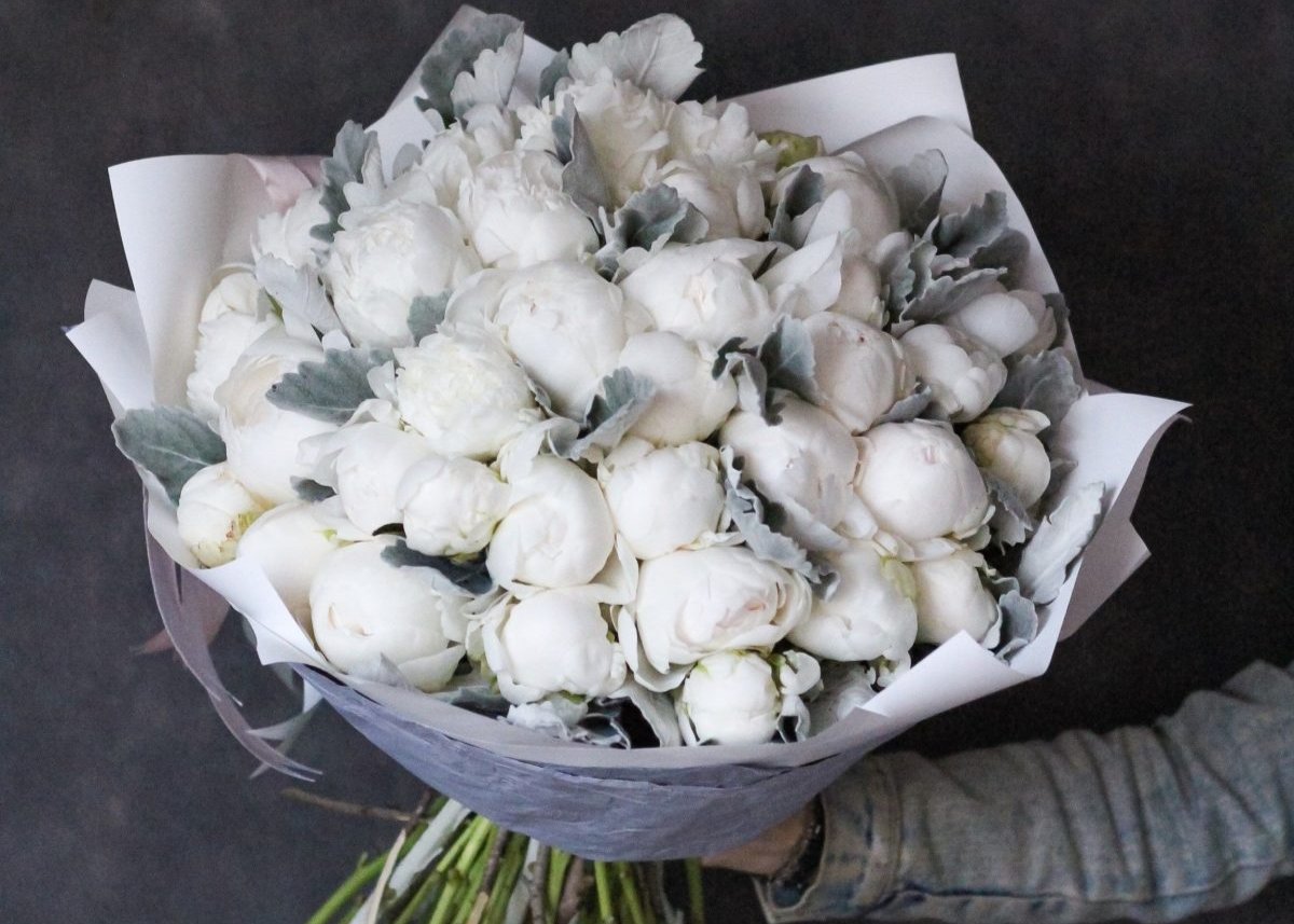 Peony Marshmallow. 50 exquisite peonies.