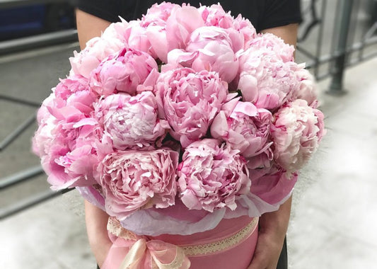 Dreamy Peonies in Paper Box. 30 exquisite peonies.