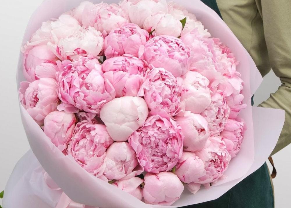 Peony Marshmallow. 30 exquisite peonies.